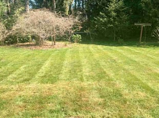 Dan R.'s Lawn Care service result