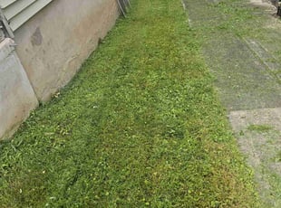 Kelly O.'s Lawn Care service result