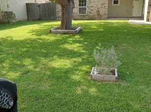 Steven G.'s Lawn Mowing service result