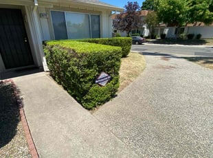 Bush Trimming by Uriel Aldrete for Felina W. in Sacramento, CA