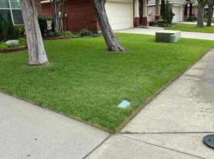 Kelvin D.'s Lawn Care service result