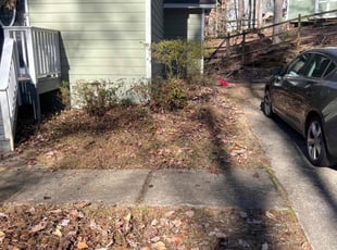 Bush Trimming by Green Juniper for Collin N. in Cary, NC