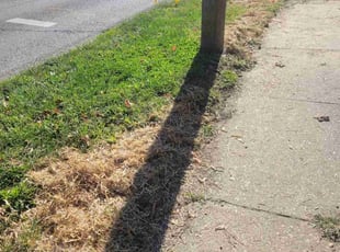 Landscaping by Chris Runyan for Roberta L. in Cincinnati, OH