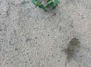 Aeration by Bobby Green for Sean P. in Kyle, TX