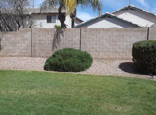 Bush Trimming by Joseph Slay for Chris C. in Phoenix, AZ
