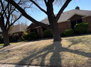 Leaf Removal by Michael Rollerson for Larry T. in Lancaster, TX