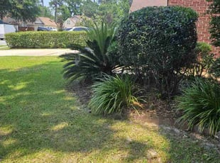Bush Trimming by Jason Hughes for Ryann H. in Savannah, GA