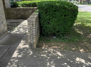 Bush Trimming by TERRY JOHNSON for Elizabeth H. in Bedford, TX
