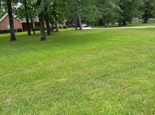 Bob A.'s Lawn Mowing Service service result