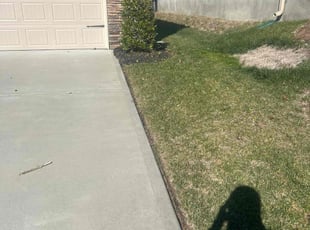 Bush Trimming by Marieo Pressley for Joyce M. in Kannapolis, NC