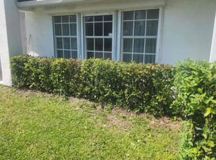 Bush Trimming by Joseph Comerford for Barry C. in Melbourne, FL