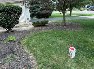 Weeding by Leonardo Feliciano for Deborah H. in Lewis Center, OH