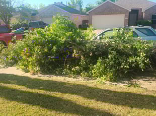 Cleanups by Javier Bernal for Winter W. in Garland, TX