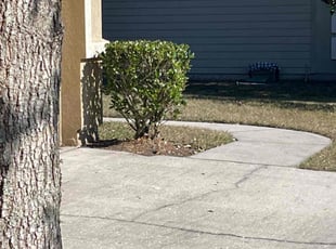Bush Trimming by Jonathan Ways for James R. in Jacksonville, FL