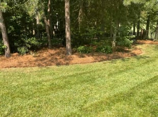 Mulching by Austin Shore for Kristina P. in Charlotte, NC