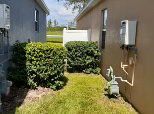 Bush Trimming by Minh Duong for Tonya J. in Apopka, FL