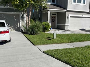 Nikolaus B.'s Lawn Mowing Service service result