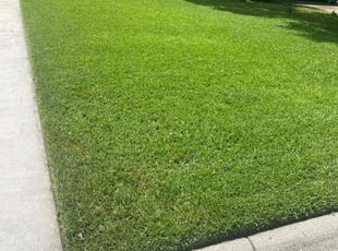 Samantha M.'s Lawn Care service result