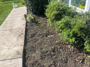 Weeding by Jose Tejeda for KATHY Z. in Manheim, PA
