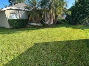 Bush Trimming by Feliciano Perez for Melvin S. in Zephyrhills, FL