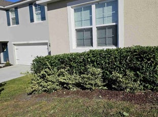 Bush Trimming by Robert Nelams for Olivia A. in Groveland, FL
