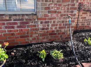 Leaf Removal by Jennifer and Ej Rucker for Mary W. in Edmond, OK