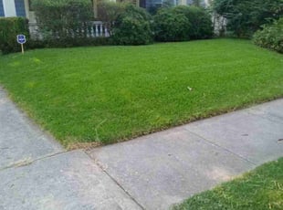 Earl S.'s Yard Cutting service result