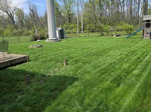 Corey F.'s Lawn Mowing Service service result