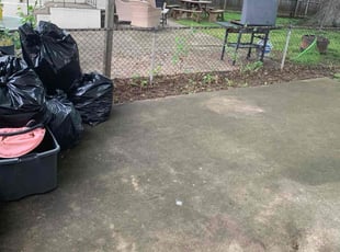 Cleanups by Bashir Tucker for Tyra J. in Trainer, PA
