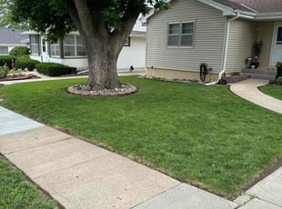 Stephane O.'s Grass Cutting service result
