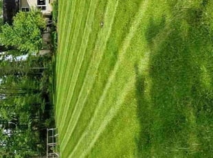Crista P.'s Lawn Care service result