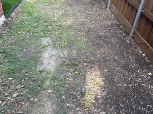 Leaf Removal by Rosa Valencia for Ronn s. in Frisco, TX