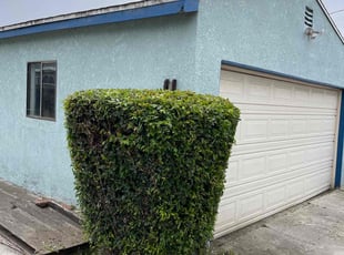 Bush Trimming by Uriel Ocampo for Sean D. in Torrance, CA