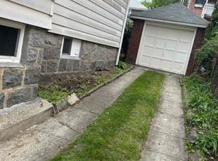 Leaf Removal by Vasawn Miller for john s. in Boston, MA