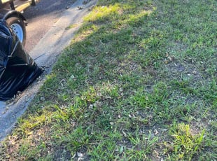 Cleanups by James Burley for Ronnie B. in Tampa, FL