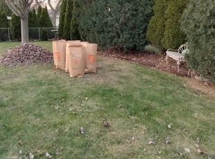 Leaf Removal by Diamond Smith for Elliott R. in Milwaukee, WI