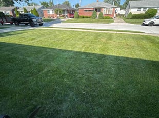 Cleanups by Kyle Yacko for Felicia H. in Roseville, MI