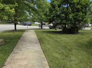 Cleanups by Jared Woods for Elfrida R. in Plainfield, IL