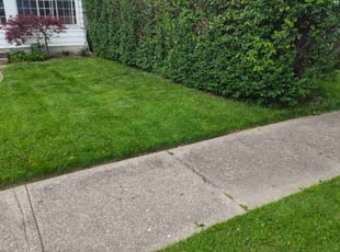 Bush Trimming by Rayshawn Martin for Doug W. in Euclid, OH