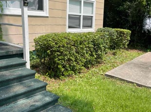 Bush Trimming by Herschell Bradley for Wissam S. in Tallahassee, FL