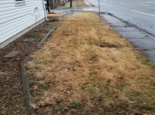 Leaf Removal by Robert Ballinger for Jared T. in Florissant, MO