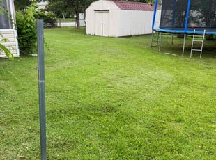 Beth B.'s Lawn Mowing Service service result