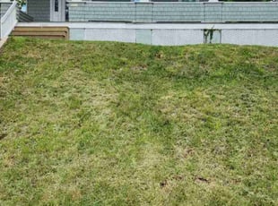 Cleanups by Viola Church for Cierra H. in Baltimore, MD