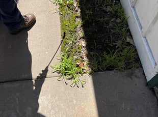 Weeding by Phoeun Phal for Cydnee R. in Wichita, KS