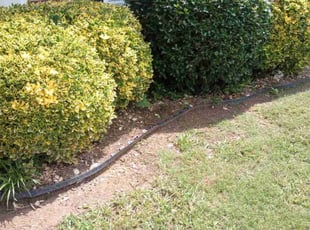 Bush Trimming by Montgomery Roberts for Darcett H. in Kennesaw, GA