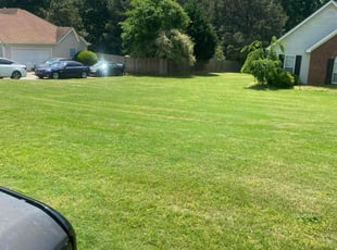 Dynesha M.'s Lawn Service service result