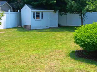 Mitchell M.'s Grass Cutting service result