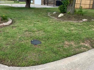 Leaf Removal by Γngel Ibarra for Jarin B. in Oklahoma City, OK