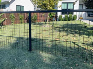 Jenna U.'s Lawn Care service result