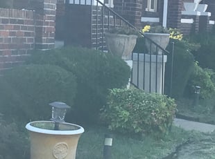 Bush Trimming by Clarence Brown for Gregory M. in St. Louis, MO
